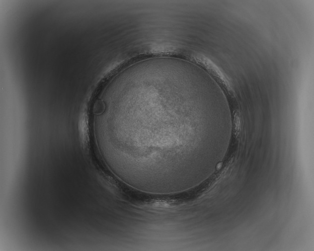 X0000102770684200808181130