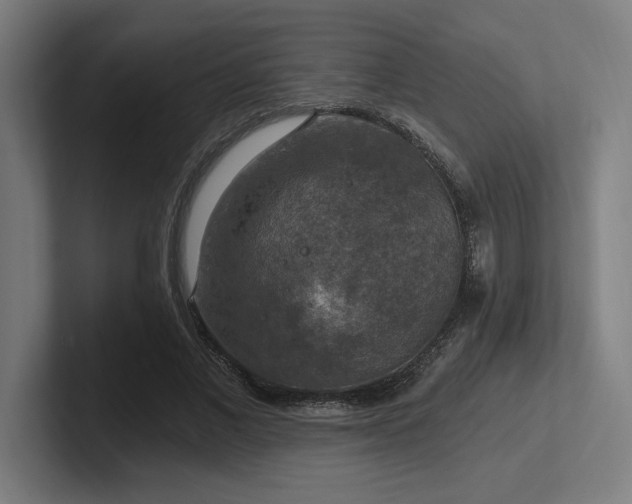 X0000102770685200808181130