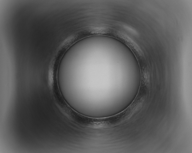 X0000102770686200808181130