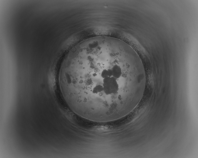 X0000102770687200808181129