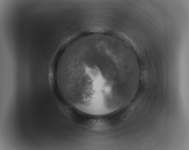 X0000102770688200808181129