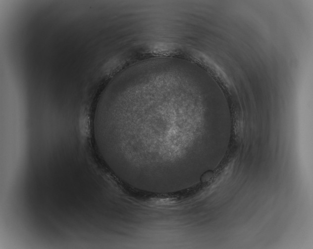 X0000102770689200808181129