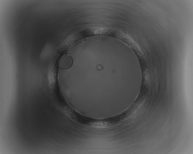 X0000102770691200808181129