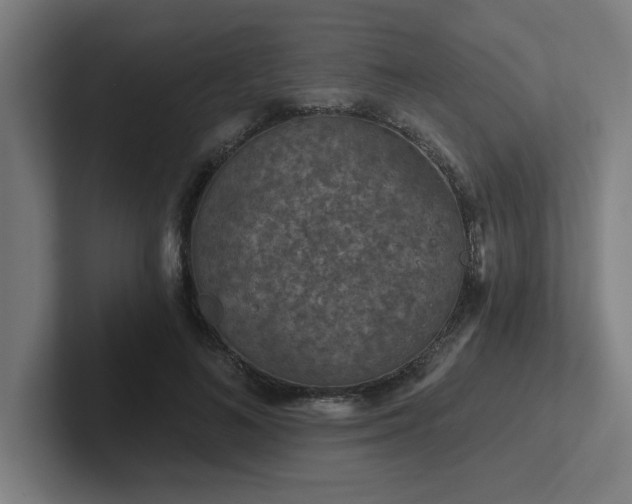 X0000102770692200808181129