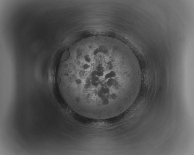 X0000102770695200808181129