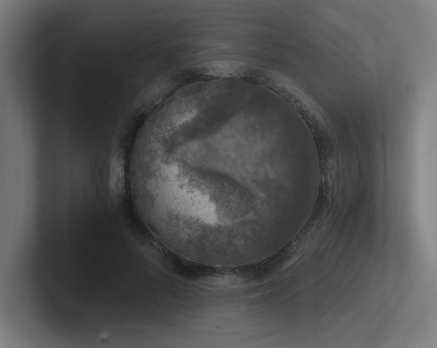 X0000102770696200808181129