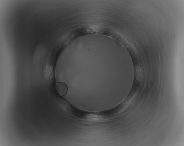 X0000102770699200808181129