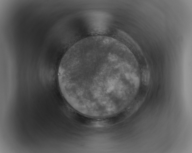 X0000102770701200808181129