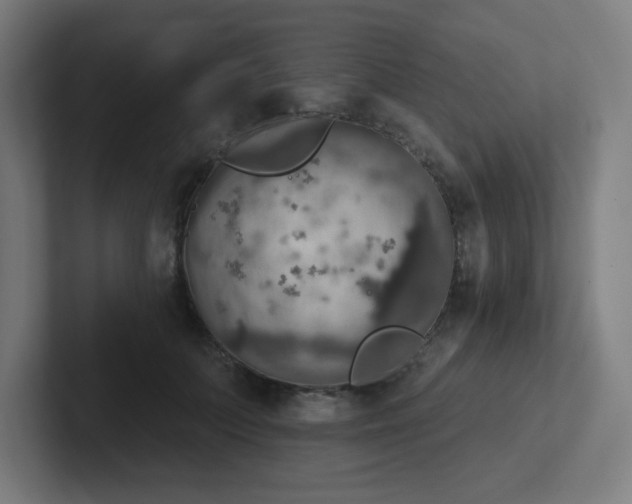 X0000102770703200808181129