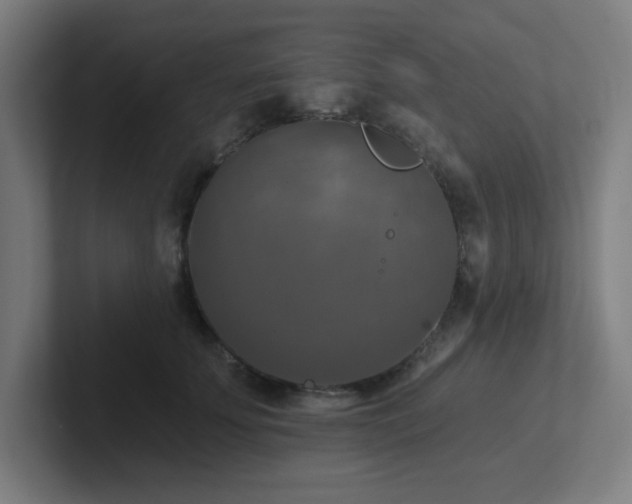 X0000102770707200808181129