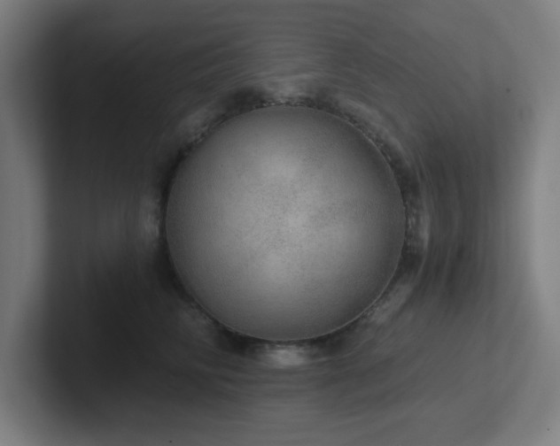 X0000102770710200808181129