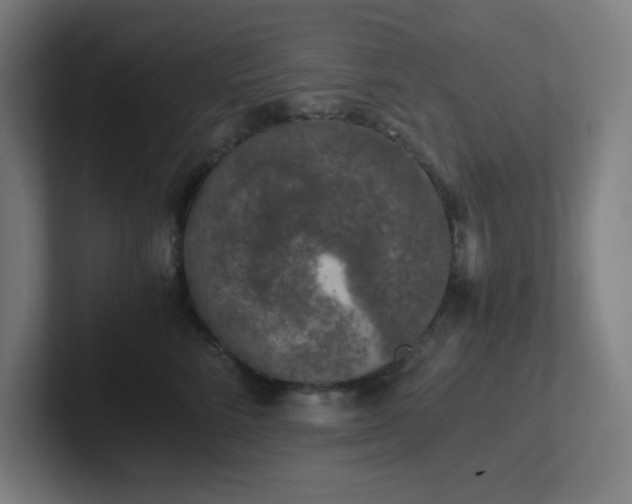 X0000102770712200808181129