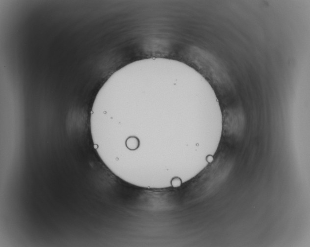 X0000102770713200808181129