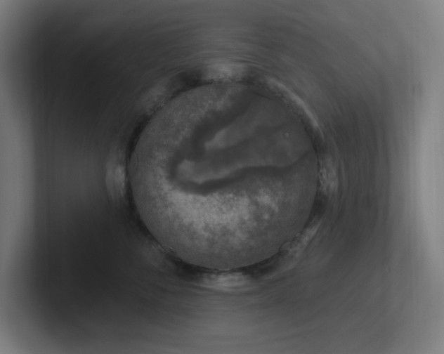 X0000102770716200808181129