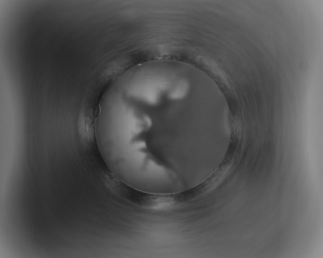 X0000102770719200808181129