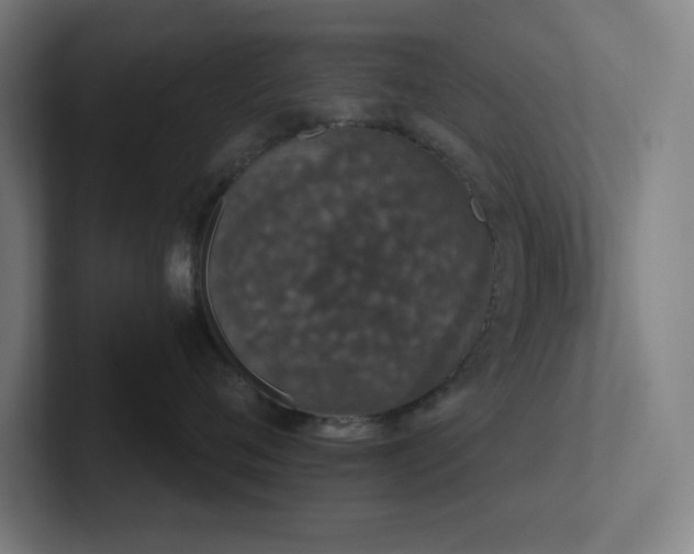 X0000102770720200808181129