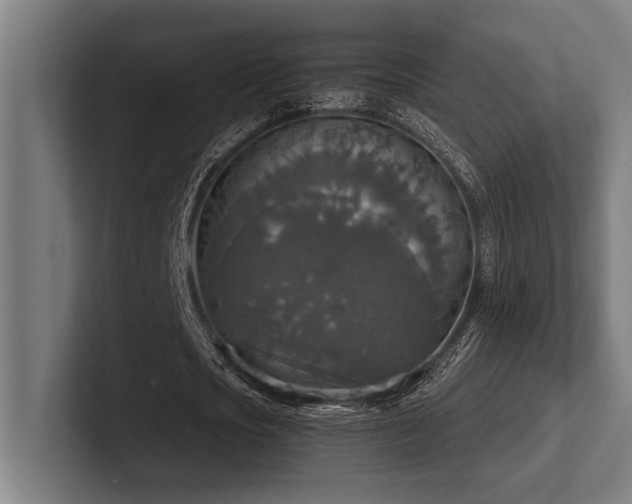 X0000102770721200808181128