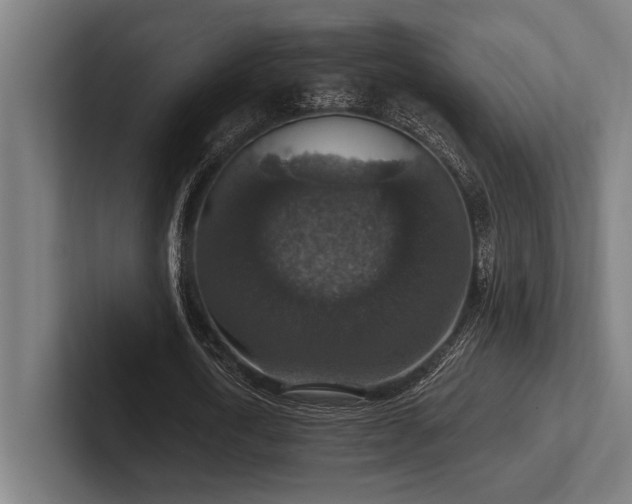 X0000102770722200808181128