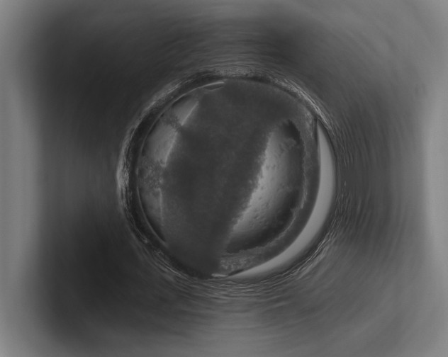 X0000102770723200808181128