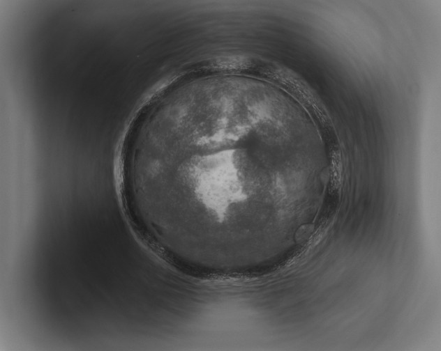 X0000102770726200808181129