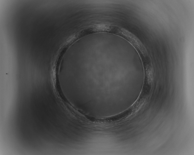 X0000102770729200808181129