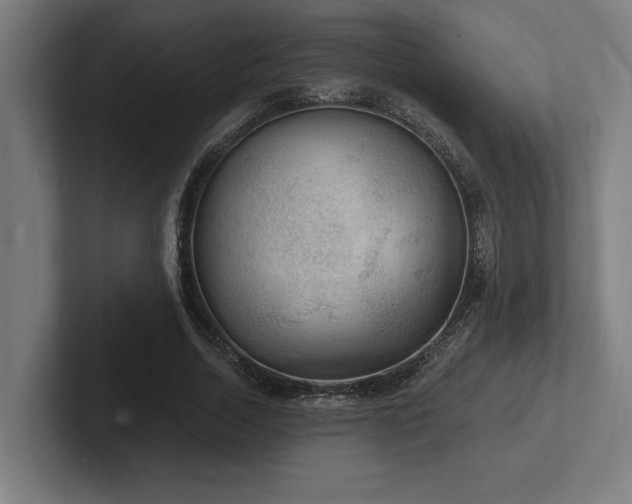 X0000102770730200808181129