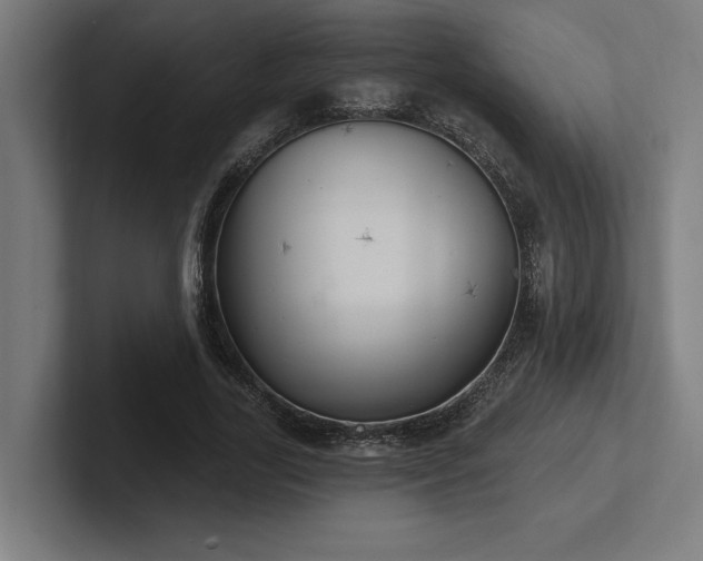 X0000102770731200808181129