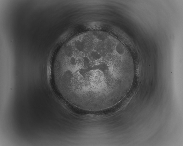 X0000102770733200808181129