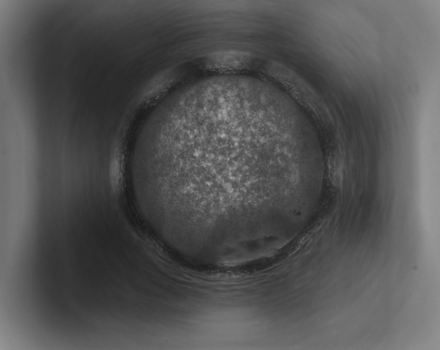 X0000102770735200808181129