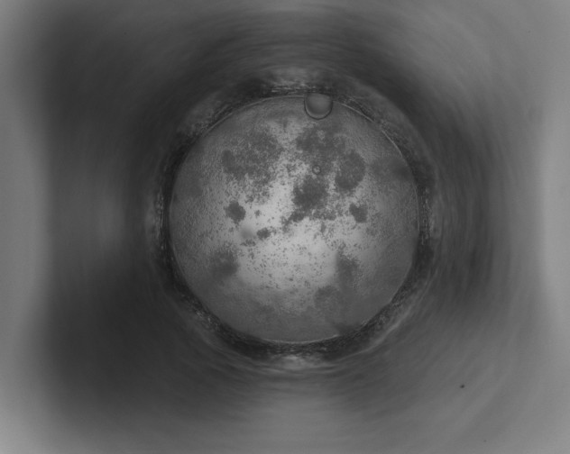 X0000102770737200808181129