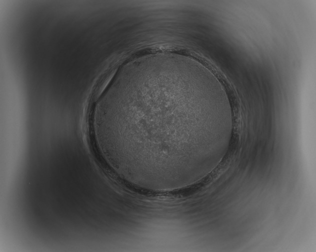 X0000102770738200808181129