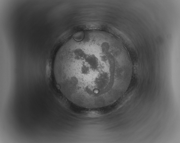 X0000102770741200808181129