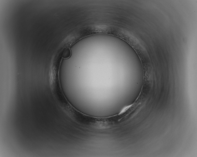 X0000102770744200808181129