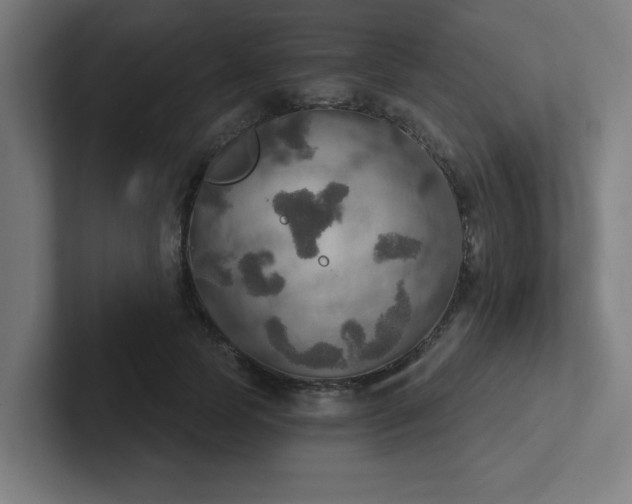 X0000102770745200808181129