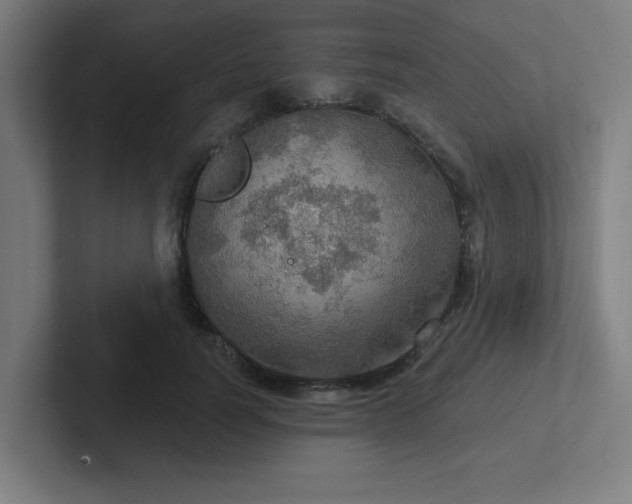 X0000102770746200808181129