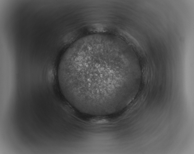 X0000102770747200808181129