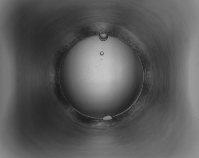 X0000102770750200808181129