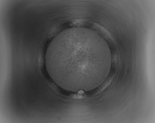 X0000102770751200808181129