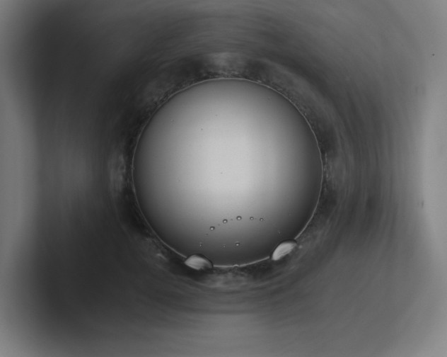 X0000102770752200808181129