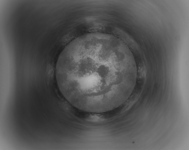 X0000102770753200808181129