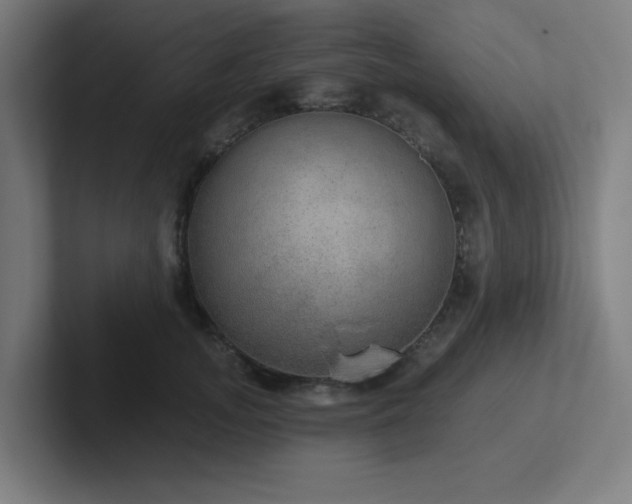 X0000102770755200808181129