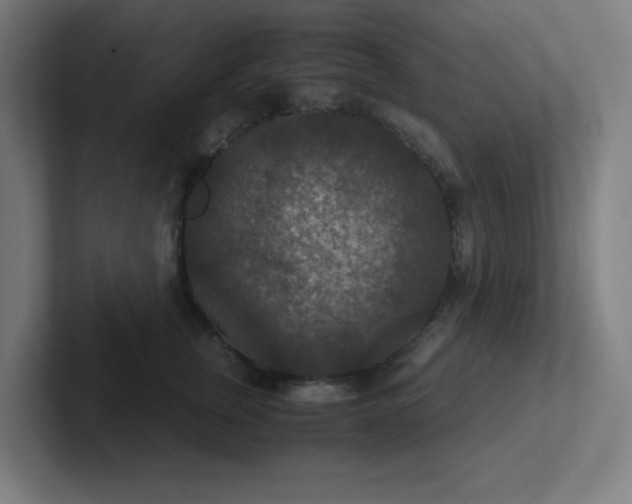 X0000102770759200808181129