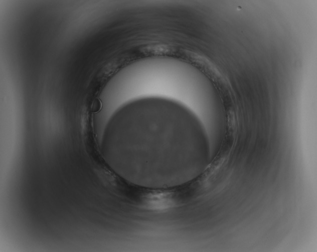 X0000102770760200808181129