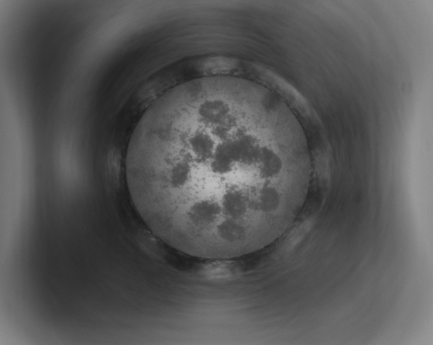 X0000102770761200808181129