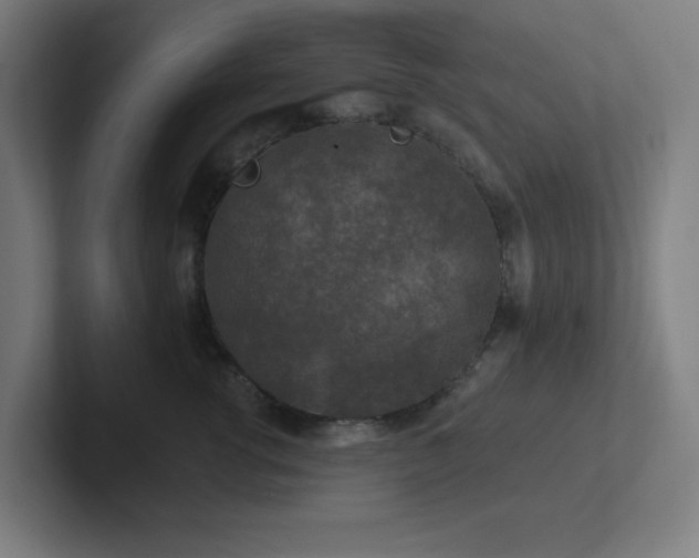 X0000102770762200808181129