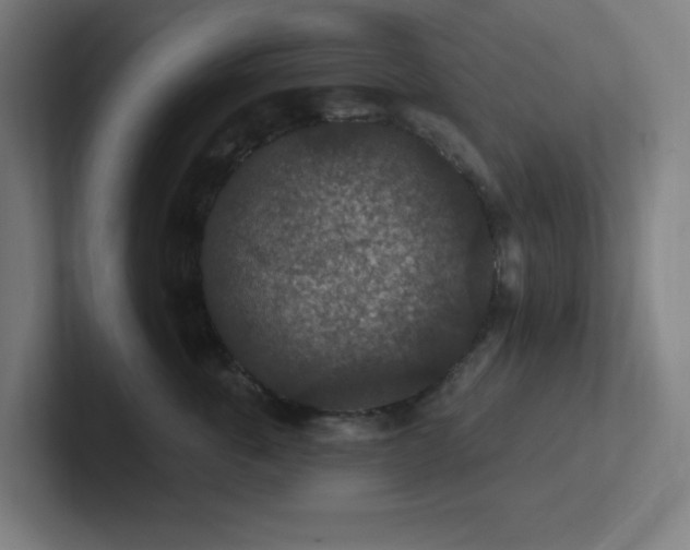 X0000102770763200808181129