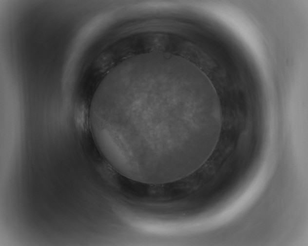 X0000102770766200808181129