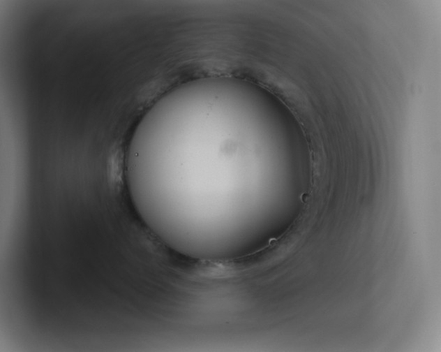 X0000102770768200808181129