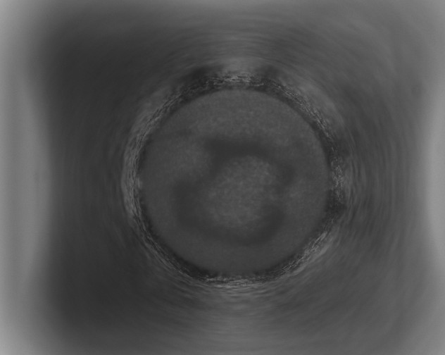 X0000102770769200808181128