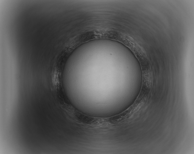 X0000102770770200808181128